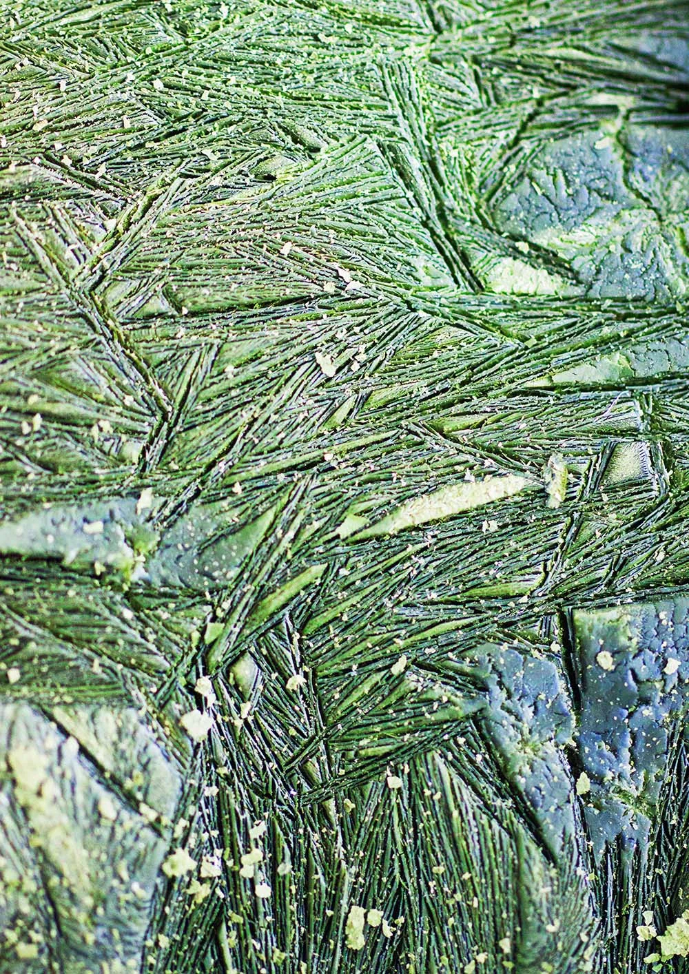 Growth in biomaterials such as Algae and Bacterial cellulose–realms that Karlijn further investigated during her time at Genspace