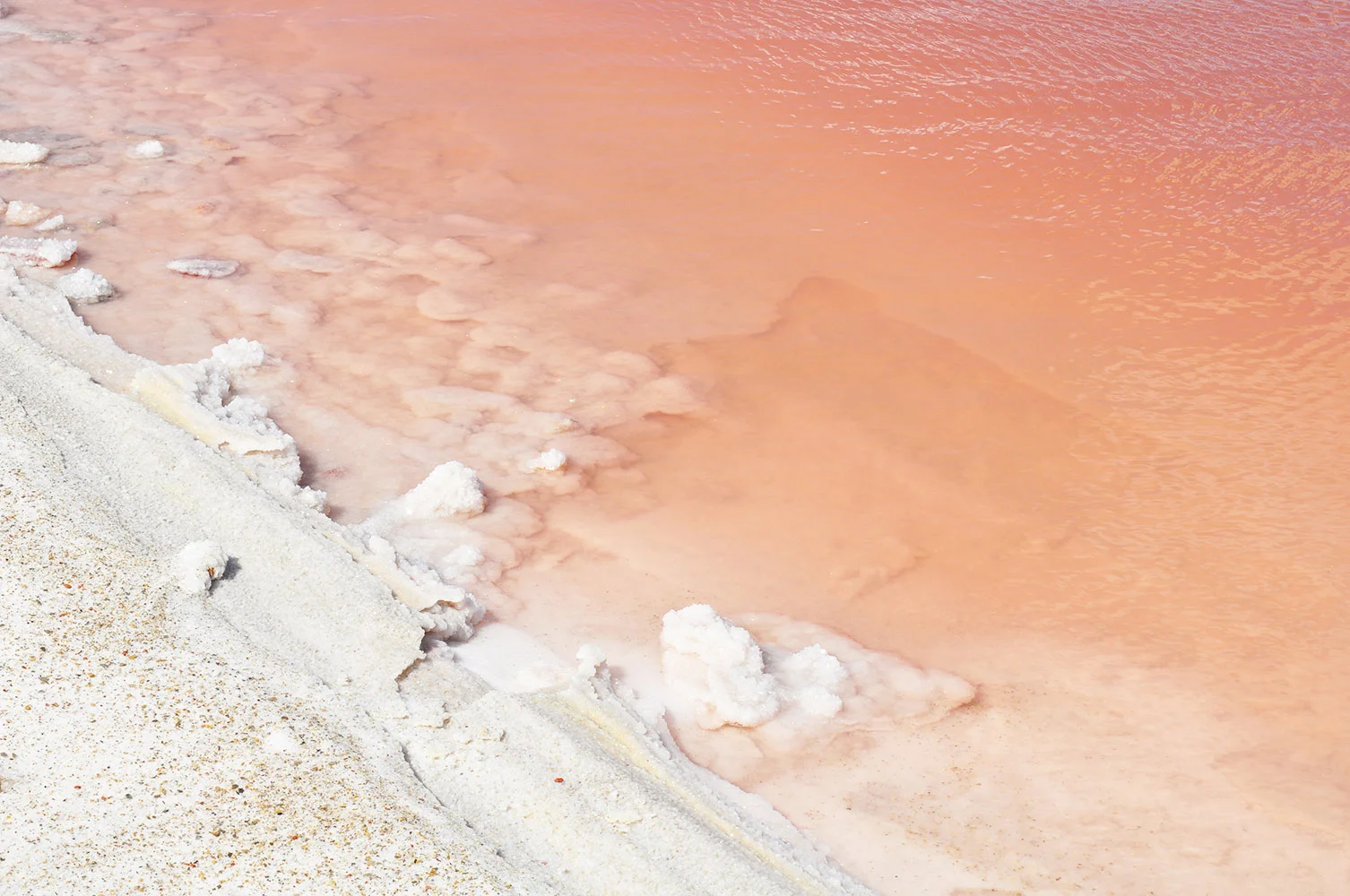 Salt fields and red Algae in Salin de Giraud, part of Karlijn Sibbel's continuing research and current workshops.