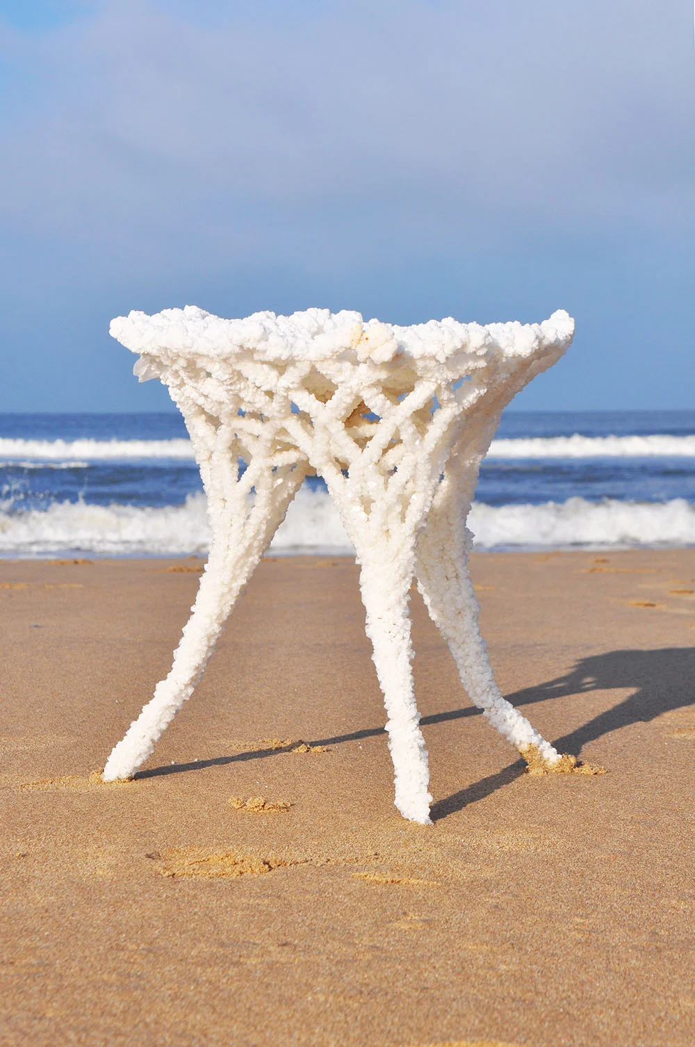 'Growing' designed objects–Karlijn Sibbel's innovative model of working with natural resources