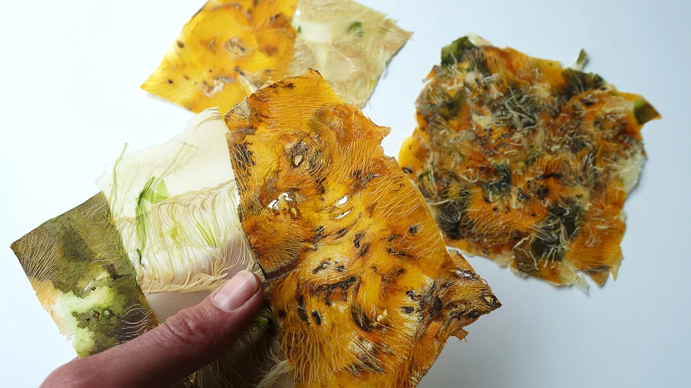 Natural cellulose in vegetable material allows Angelique van der Valk to glue pieces together when under pressure. Seen here are pieces from her 'Vegetables and Abstract' (Groenteabstracten) series.