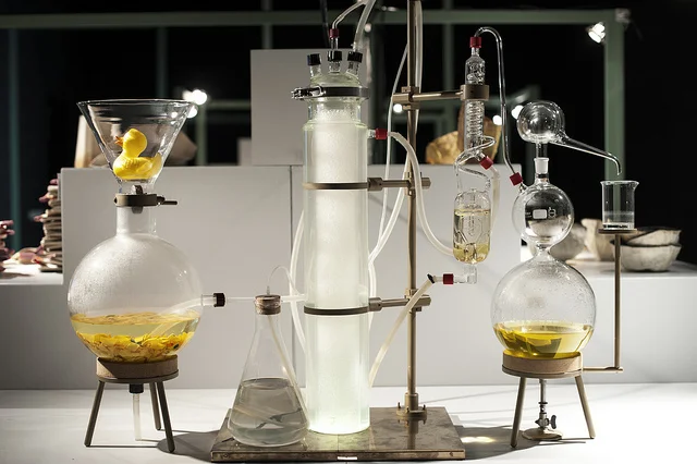 A Biobased Wunderkammer (Cabinet of Curiosities) as part of BioArt Laboratories' exhibit at Dutch Design Week 2015