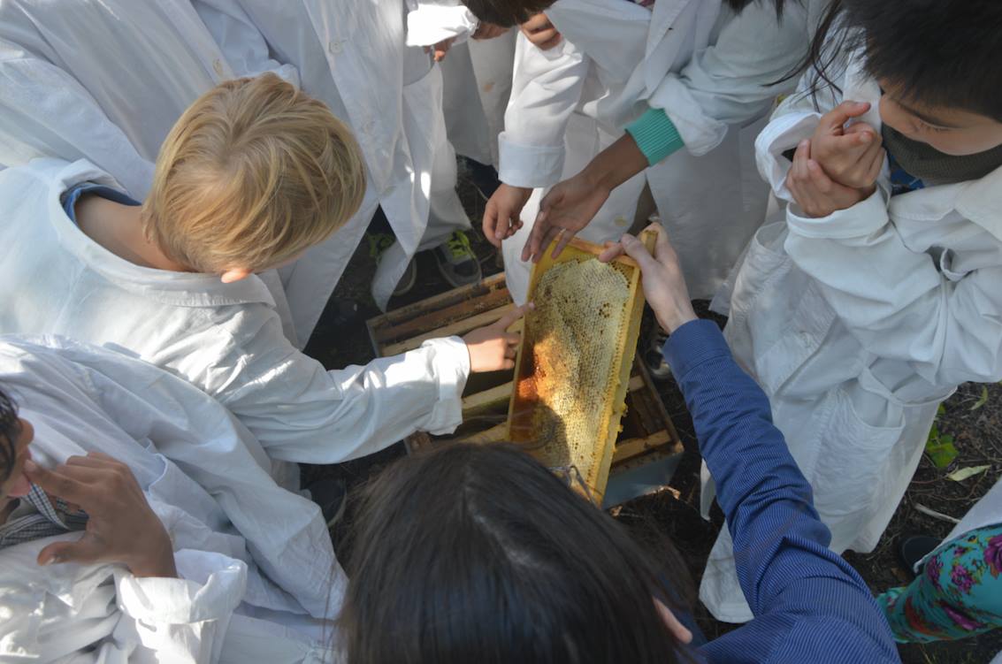Science lessons for Eindhoven's students with BioArt Laboratories, 2017