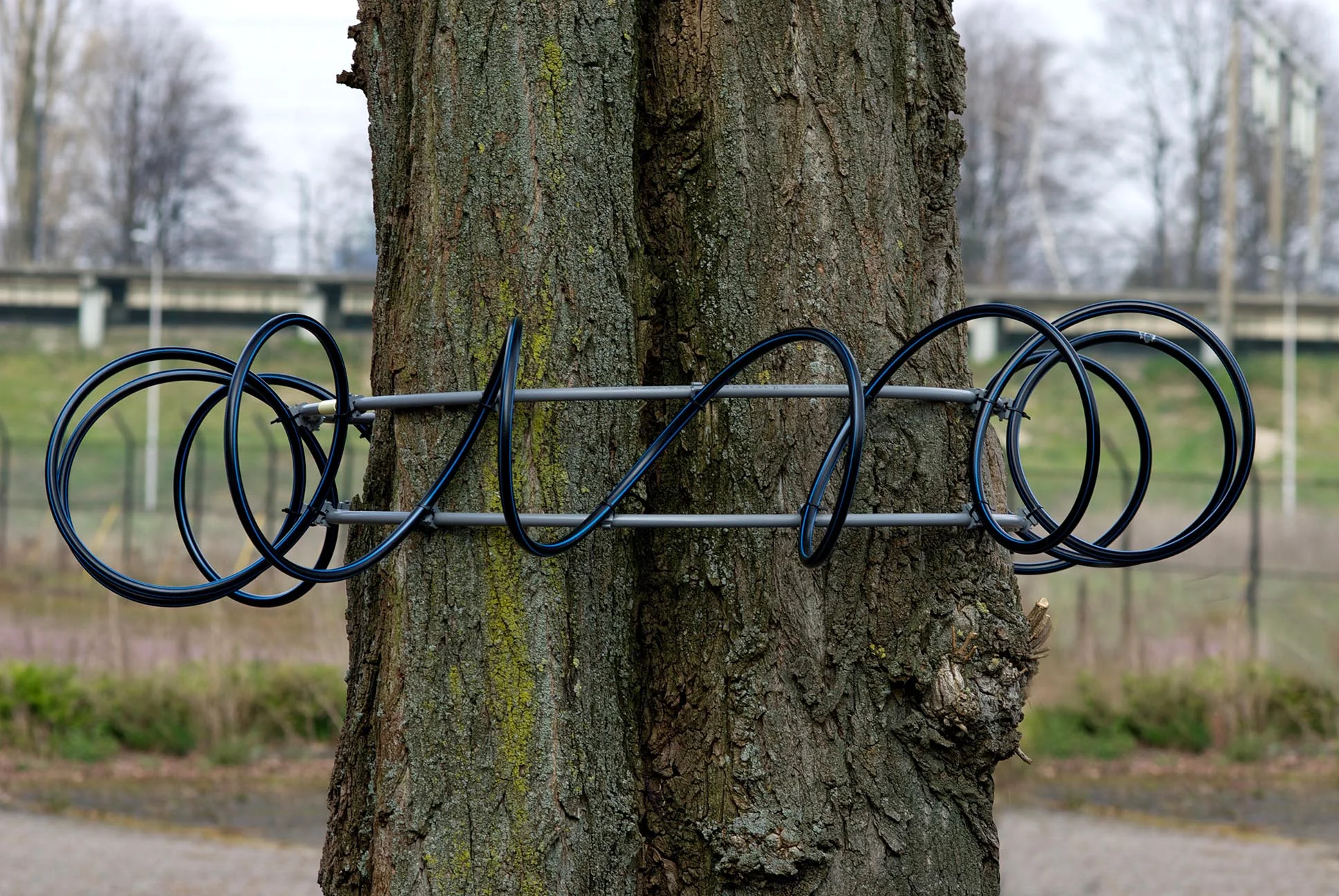 Tree Antenna, a project at BioArt Laboratories