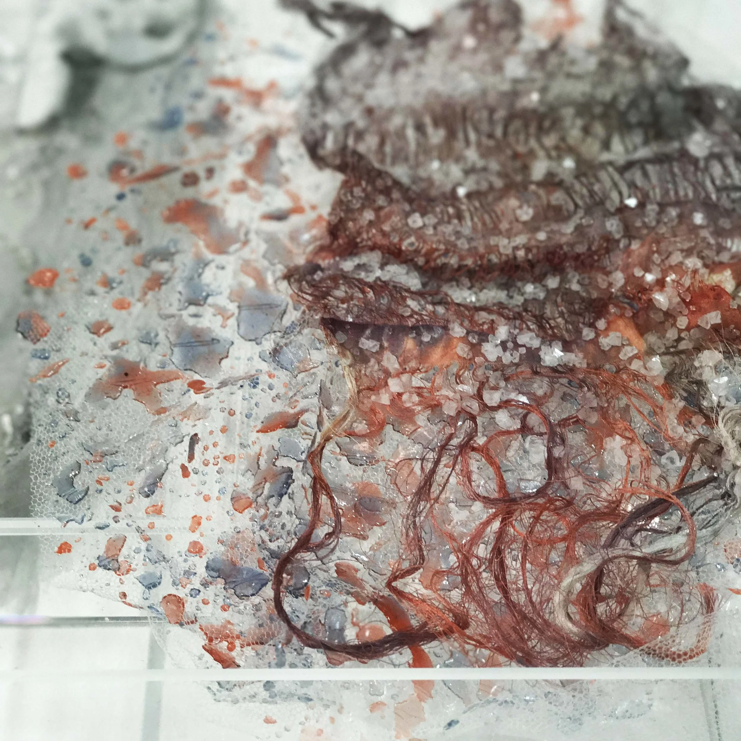 Resin surface applied to silk tulle and Mohair fabric with grown crystal emblelishment , by Hannah Croft, MUUNA