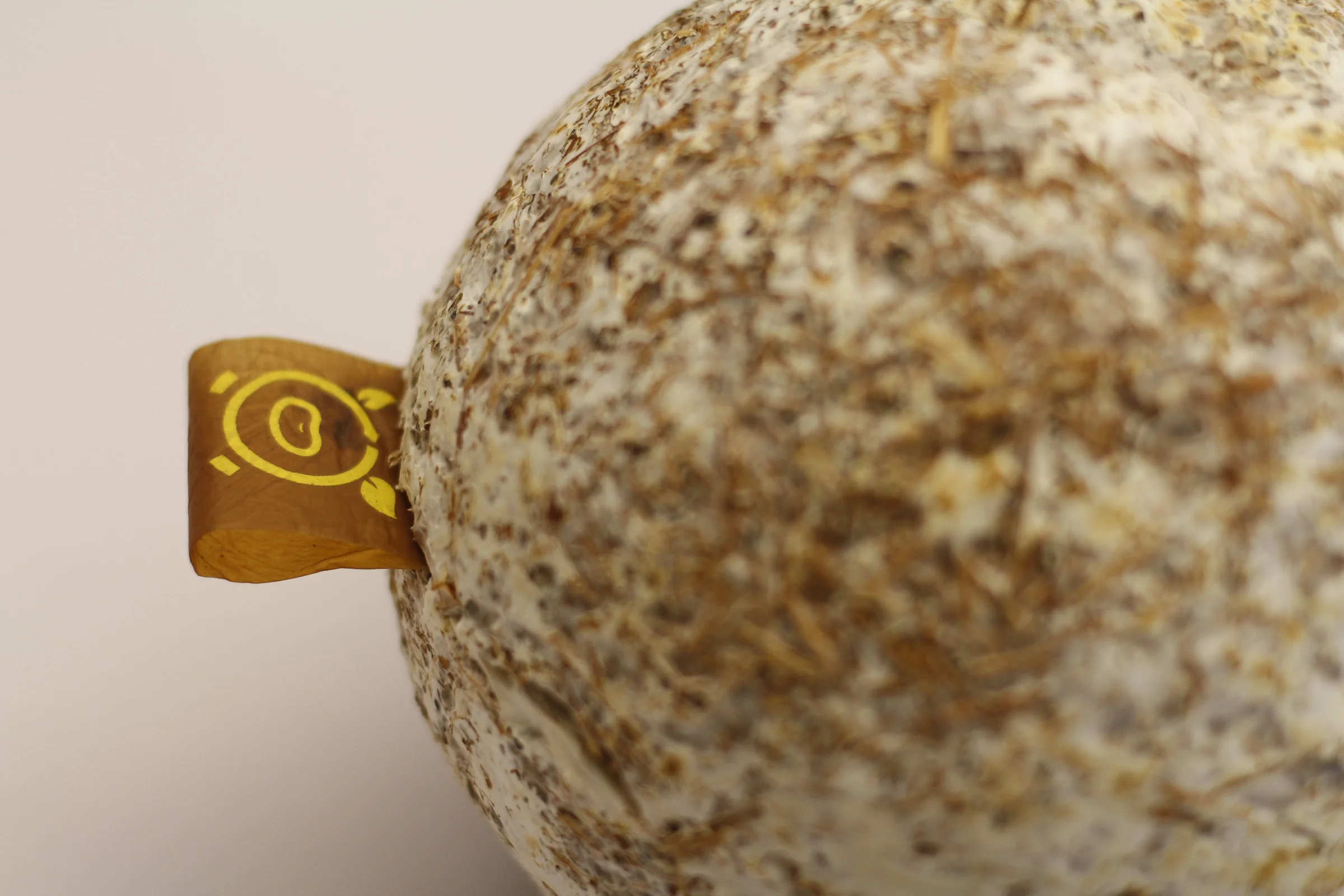 CycleBank, From the Grown Objects Collection by Silvio Tinello