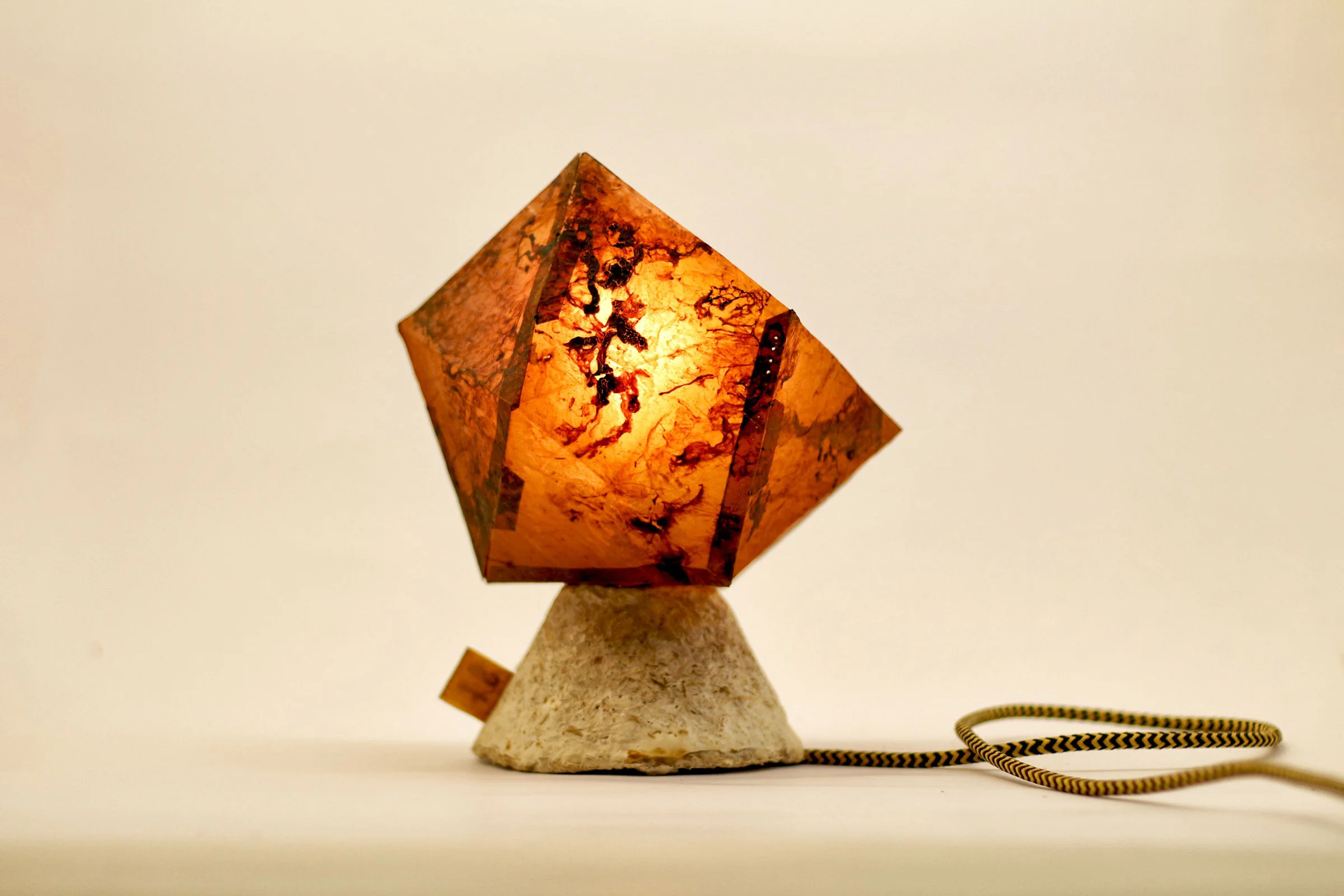 Idea Lamp, From the Grown Objects Collection by Silvio Tinello