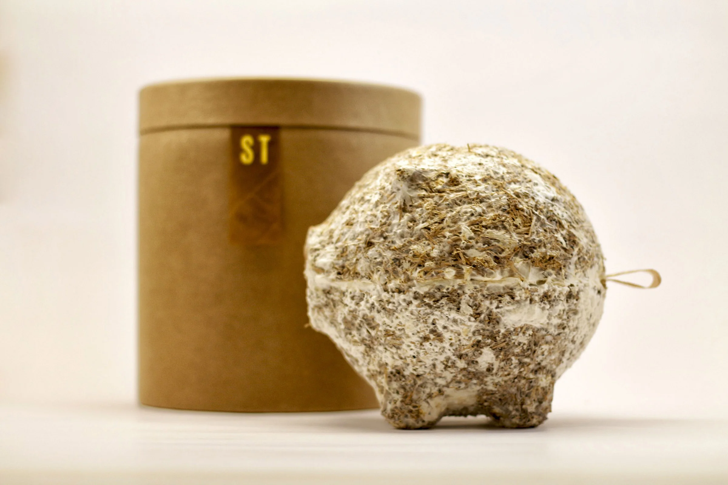 CycleBank, From the Grown Objects Collection by Silvio Tinello