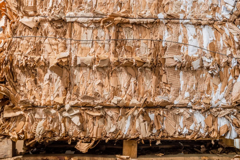 Paper and cardboard waste are among the many waste streams transformed by ECOR into their Fiber Alloys. These include spent brewers’ grains, denim lint, textiles, recycled labels, coffee grounds, oat and rice waste and more.