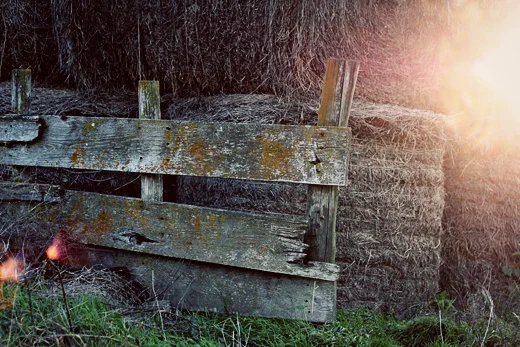 Over the Weekend: Sept. 30-Oct. 2, 2011