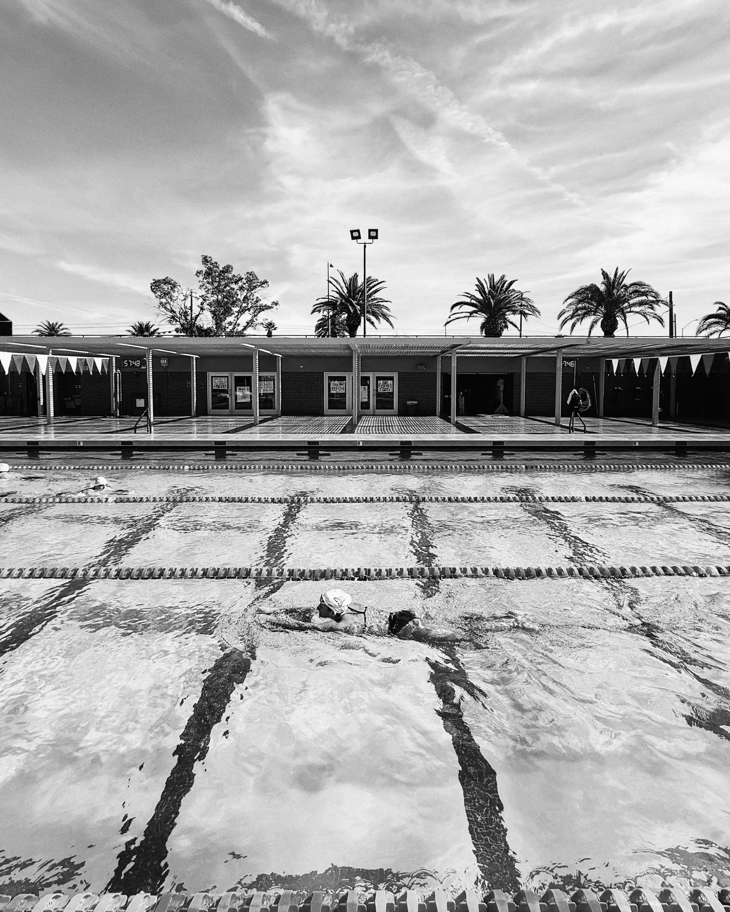 Another gorgeous day of &lsquo;winter&rsquo; training in the Sonoran Desert. 🏜️😎 #arizonaswimming #swimteam #ncaaswimdive