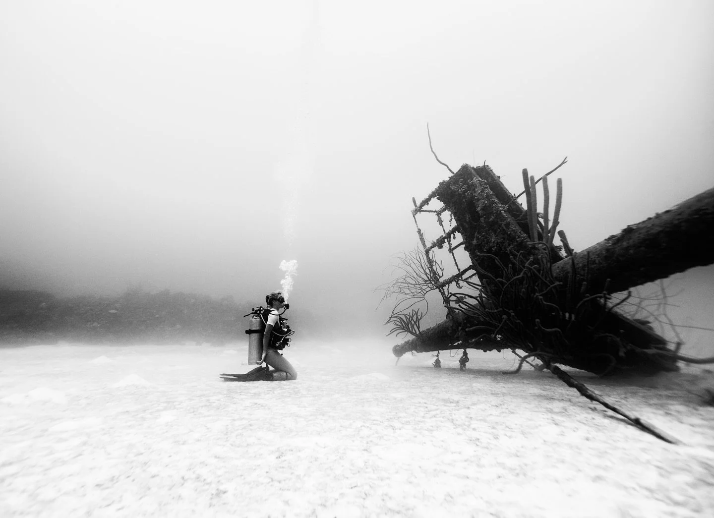 Kneeling at the alter of the deep (100ft down), circa 2008. #ScubaDiving #Bonaire #HilmaHooker