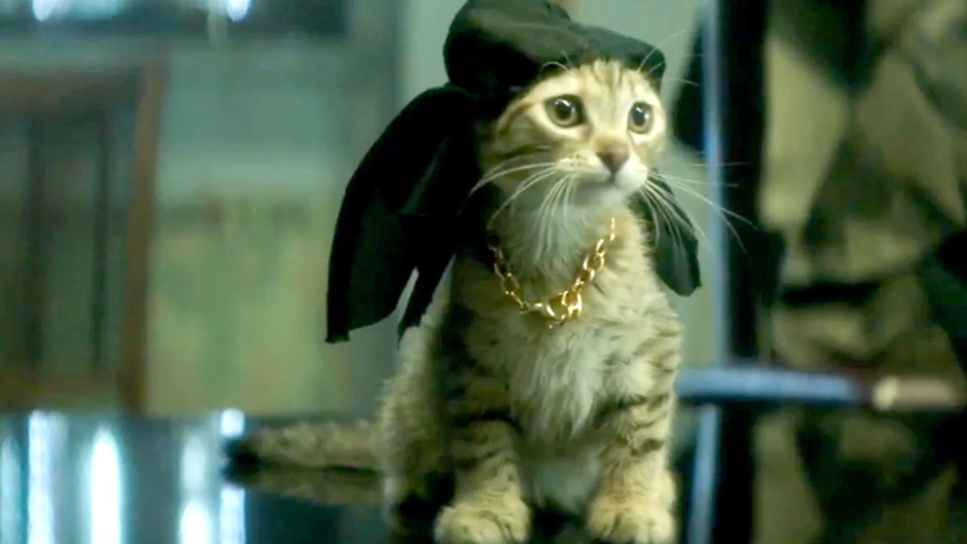 Jordan Peele, Keegan-Michael Key, and THIS KITTEN star in director Peter Atencio's Keanu