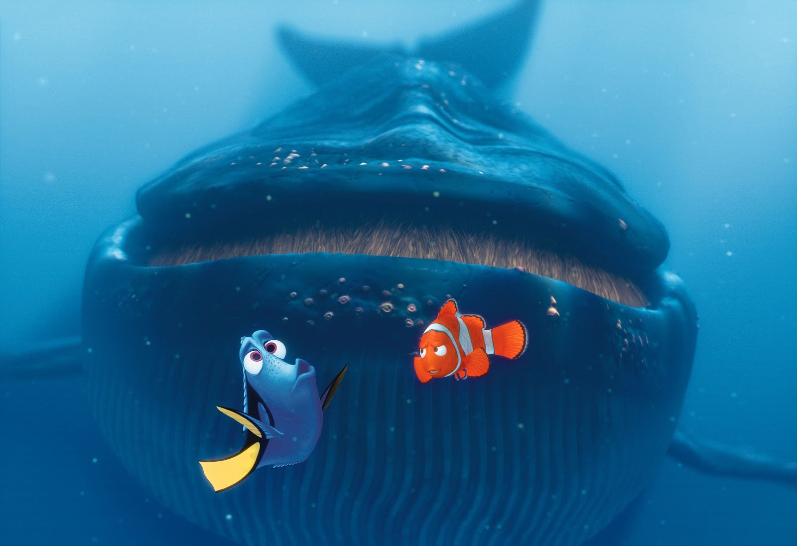 Ellen DeGeneres voices Dory and Albert Brooks voices Marlin in Andrew Stanton's Finding Nemo