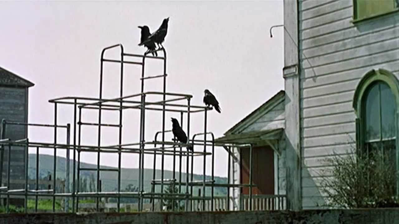 Tippi Hedren and Rod Taylor star in director Alfred Hitchcock's The Birds