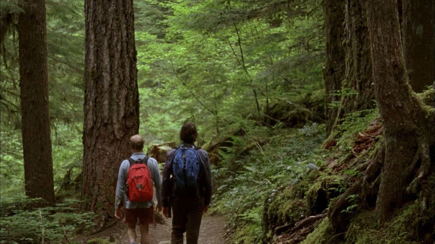 Episode 210 - Old Joy (Directed by Kelly Reichardt)