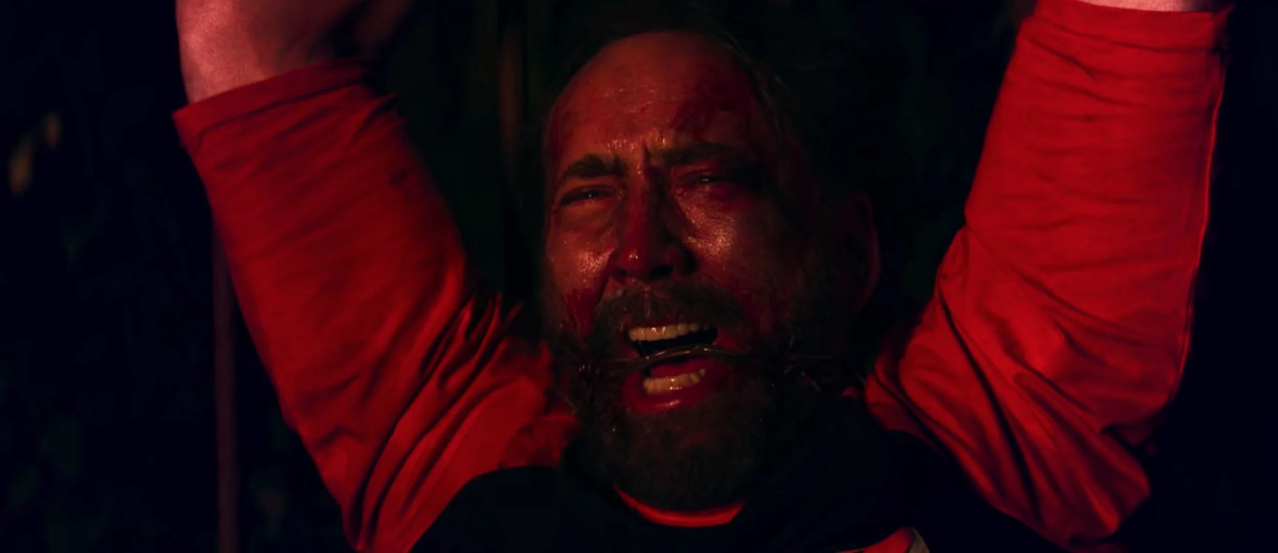 Nicholas Cage stars in director Panos Cosmatos’s Mandy