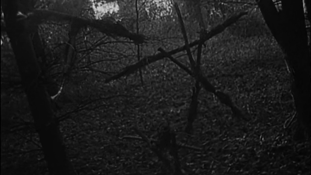 =20. The Blair Witch Project