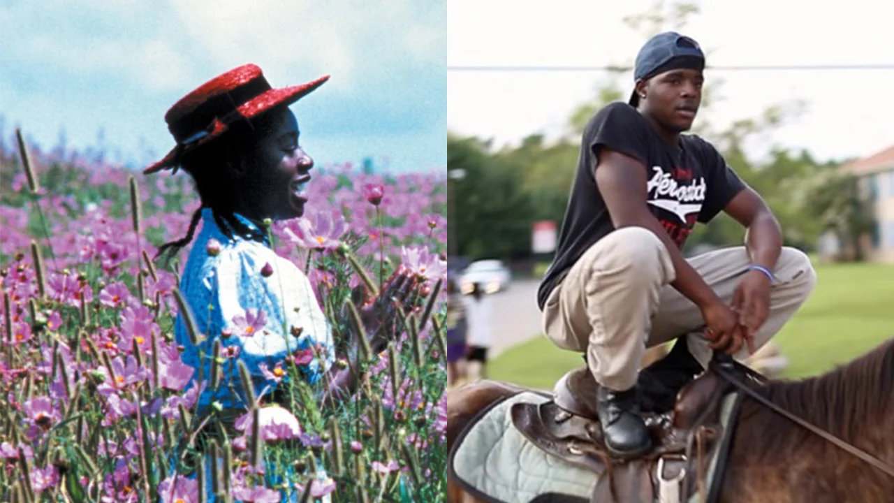 Episode 244 - The Color Purple // Hale County This Morning, This Evening (Truth and Fiction in the South)
