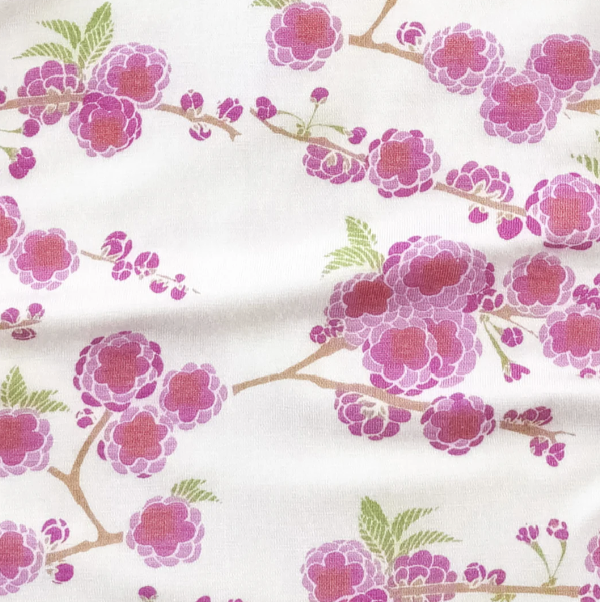 Screenshot 2026-01-24 at 11.27.28 AM.png