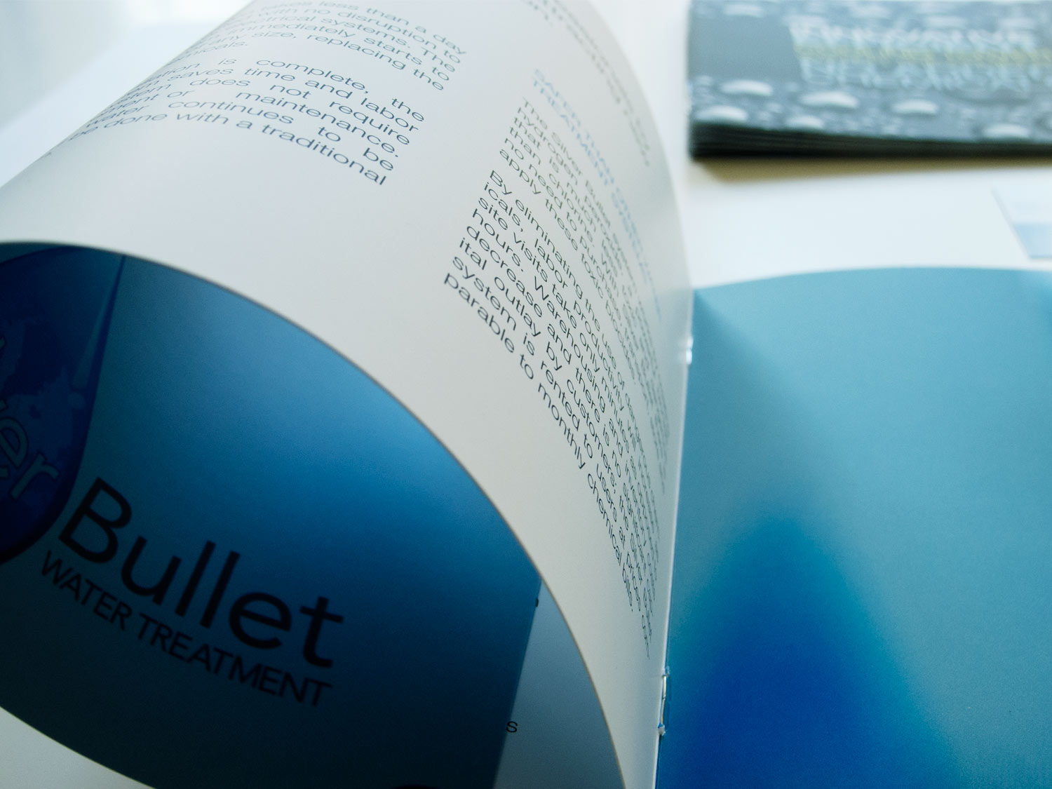 Silver Bullet Brochure- Details