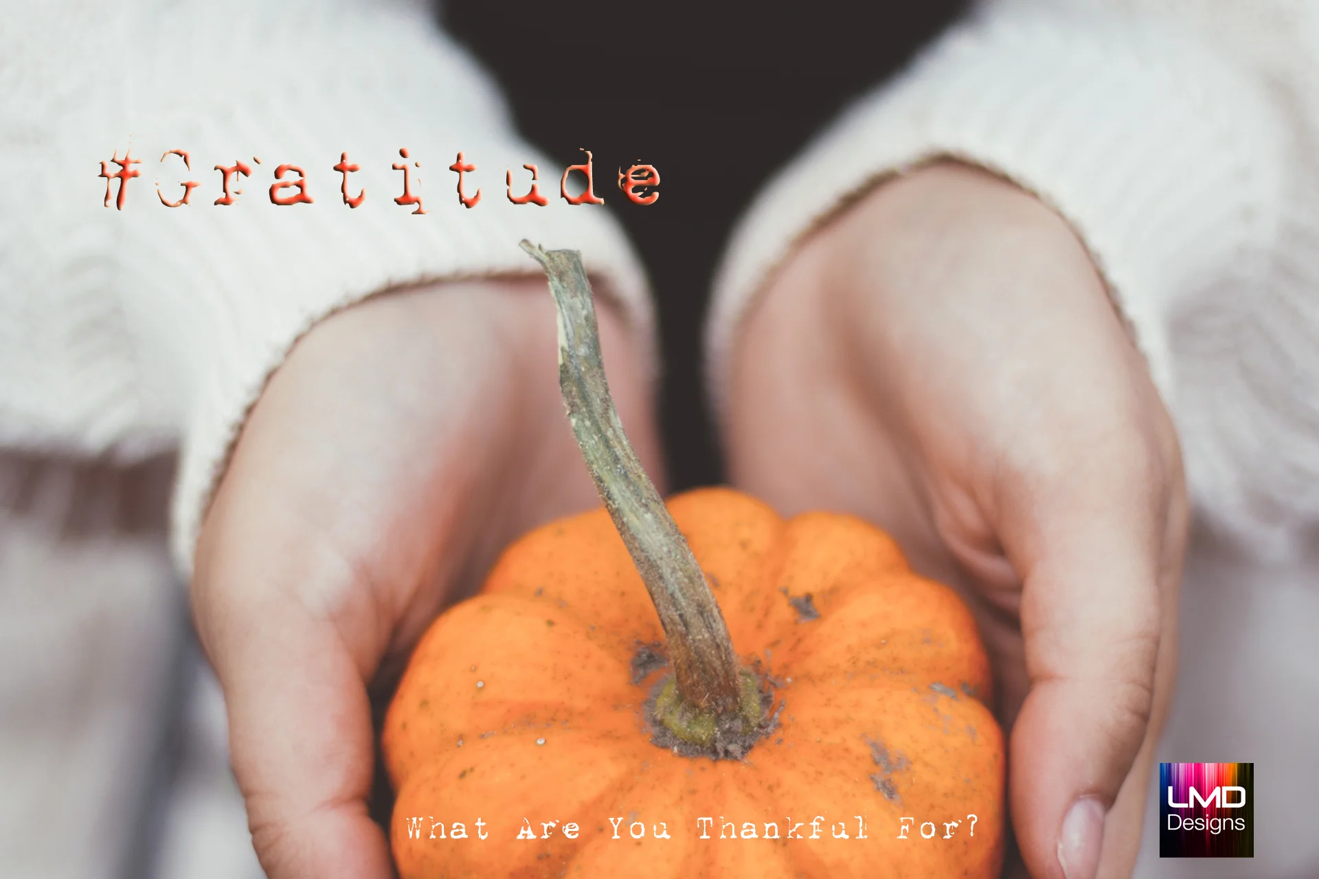 LMD-gratitude.jpg