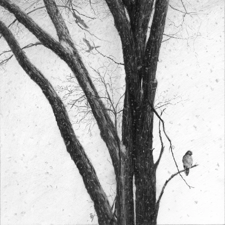 2012-01 Nightmare On Elm Tree.jpg