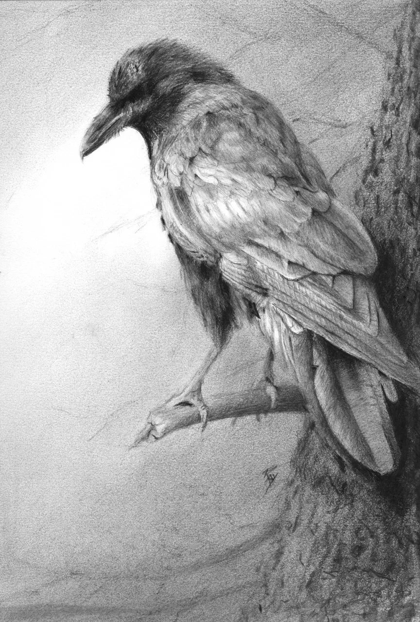 2015-18 The Watcher.jpg