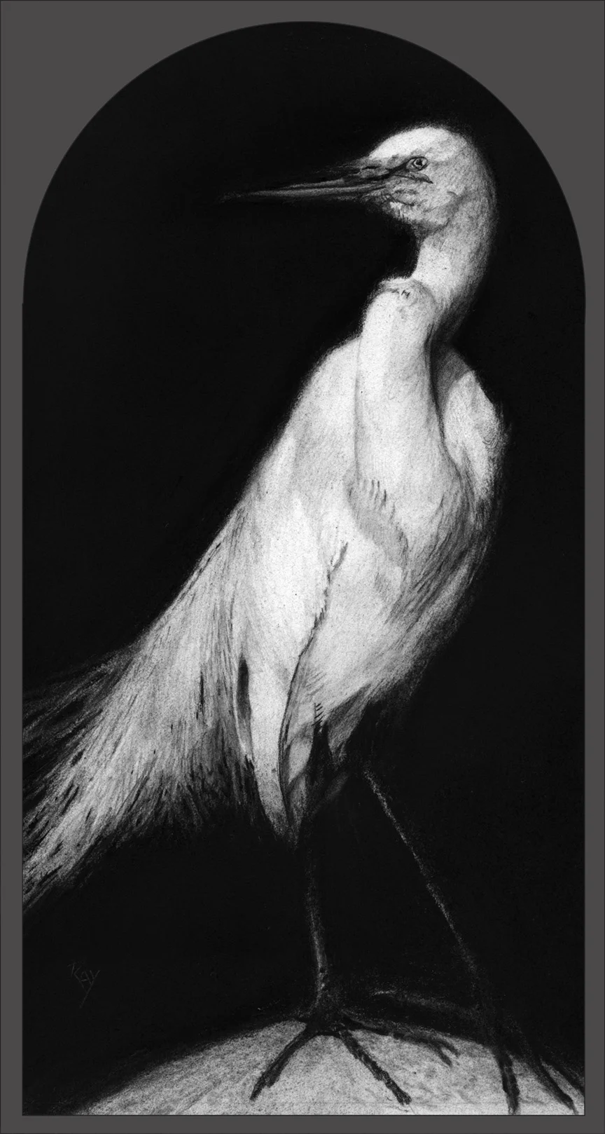 2016-07 My One Egret.jpg