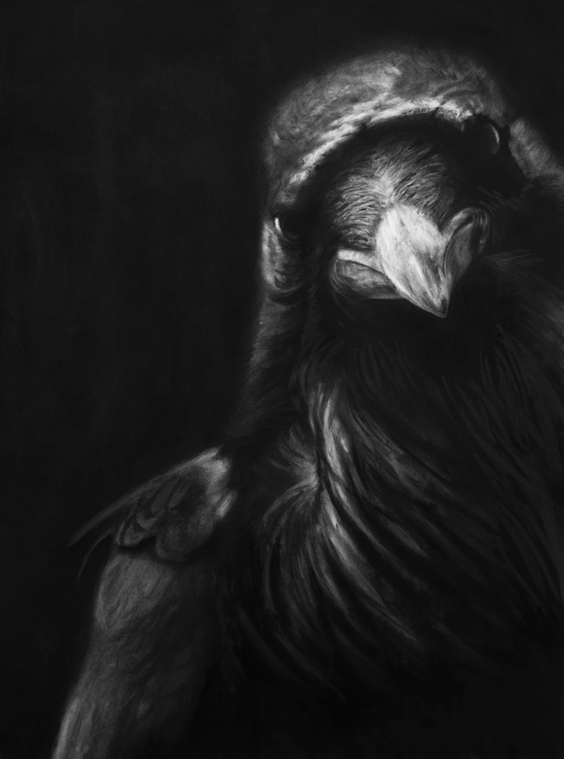 You Were Saying Charcoal 48" x 30" - Sold
