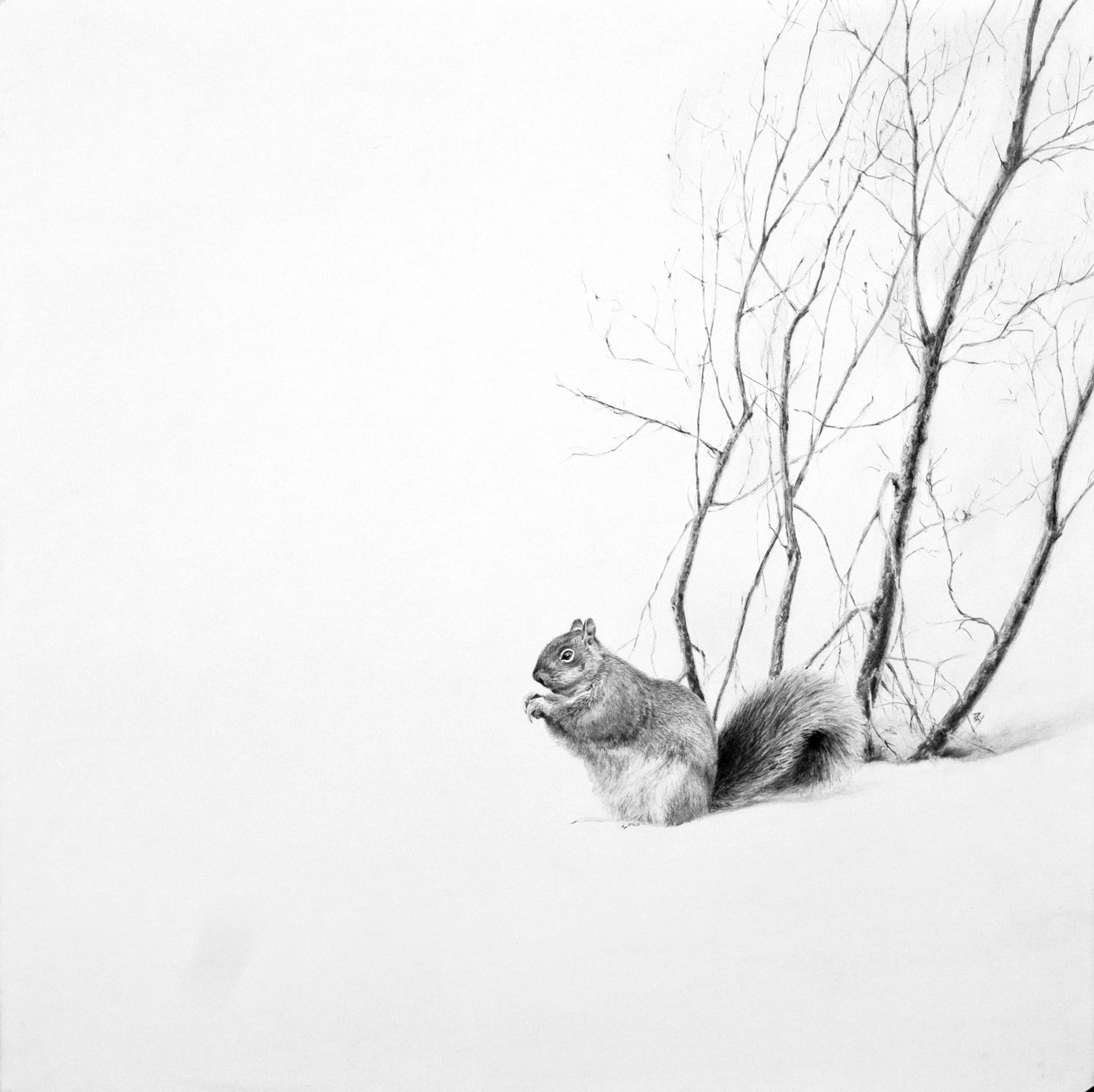 Just A Squirrel Trying To Get A Nut 36" x 36"-Sold