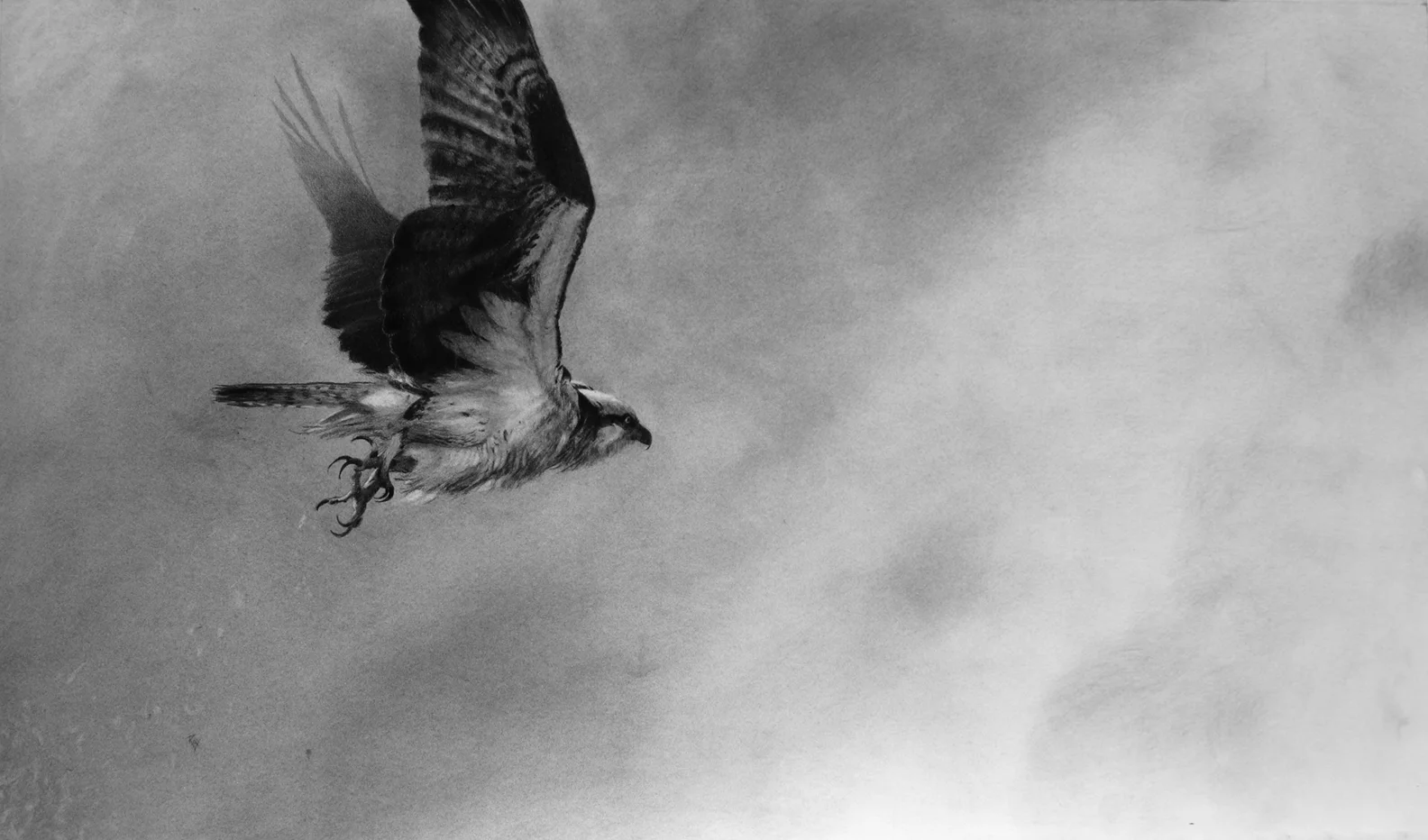 Undeterred 20.5" x 35" Charcoal - SOLD!