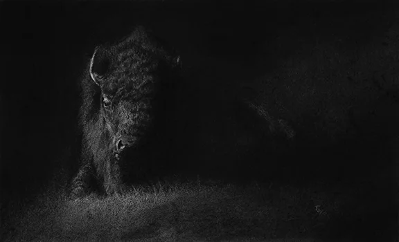 Sleeping Beauty Charcoal 8" x 15" - SOLD!