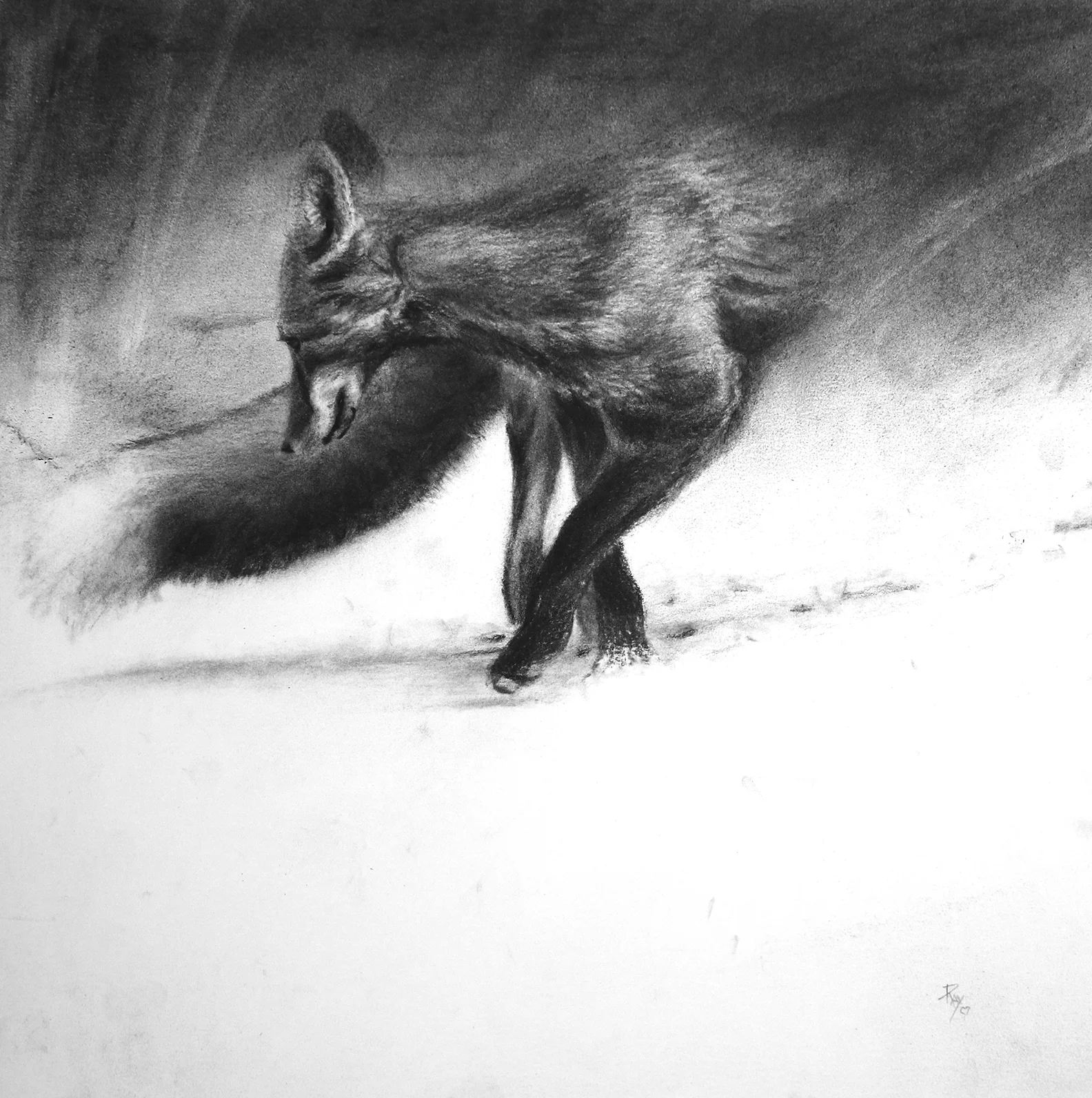 Wait, What Was That? 22" x 22" Charcoal - SOLD!