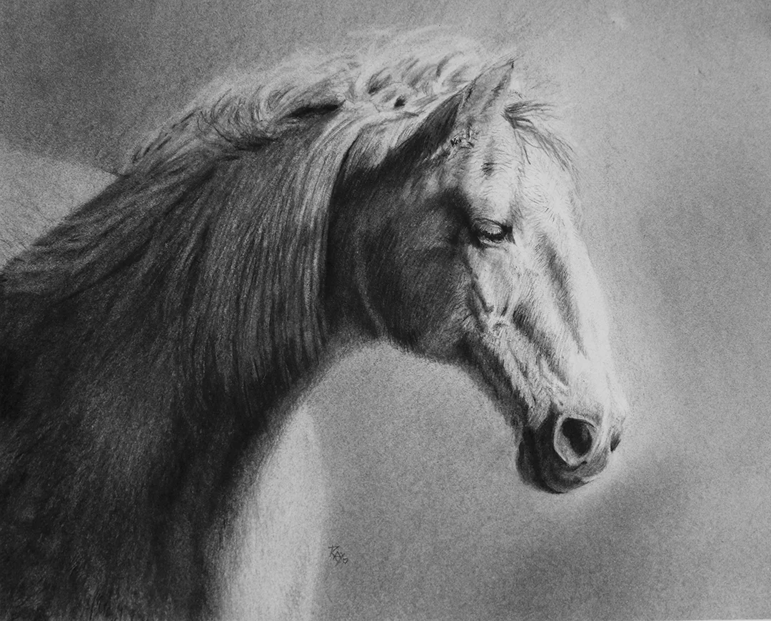 Ol' George 12" x 16" Charcoal - Available