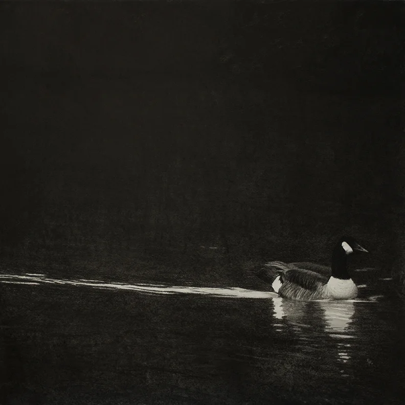 Drifter 38" x 38" Charcoal- Available