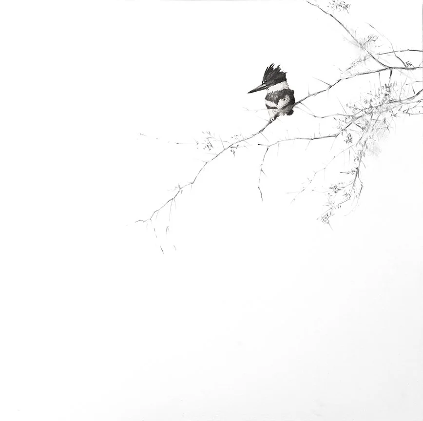 Throne of Thorns 30” x 30” charcoal  - Available at SEWE 2026