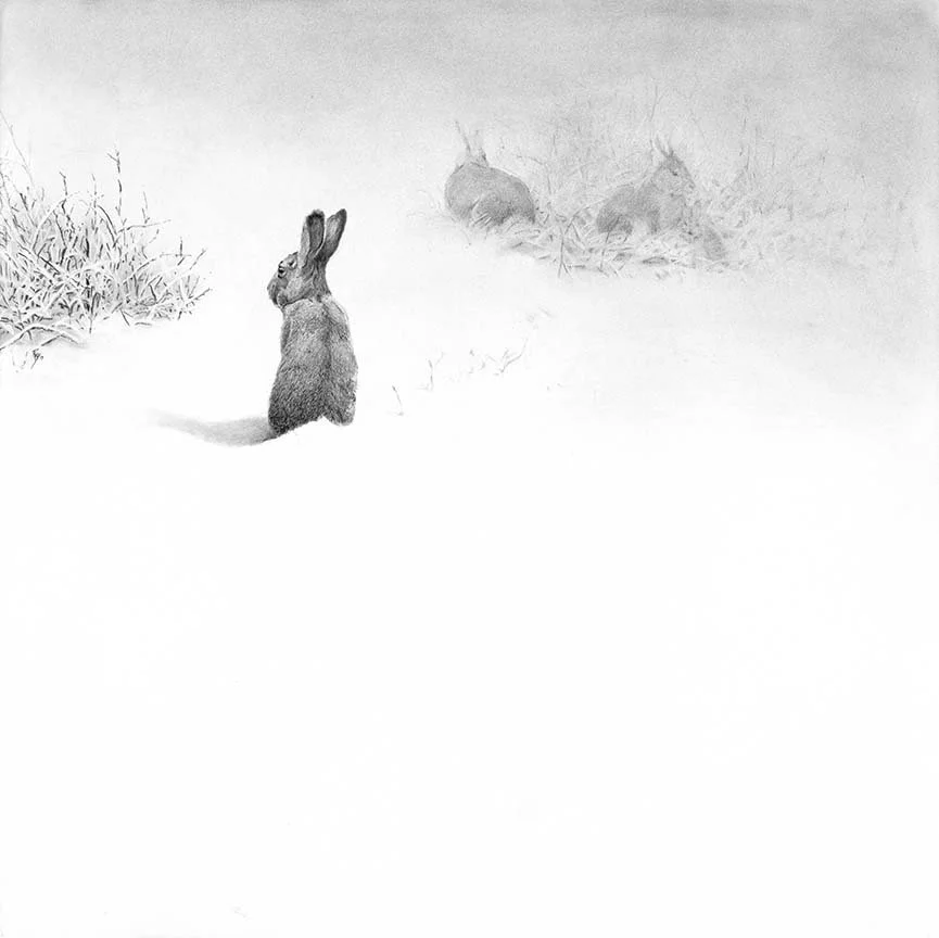 Snow Bunnies 30" x 30" Charcoal - SOLD!