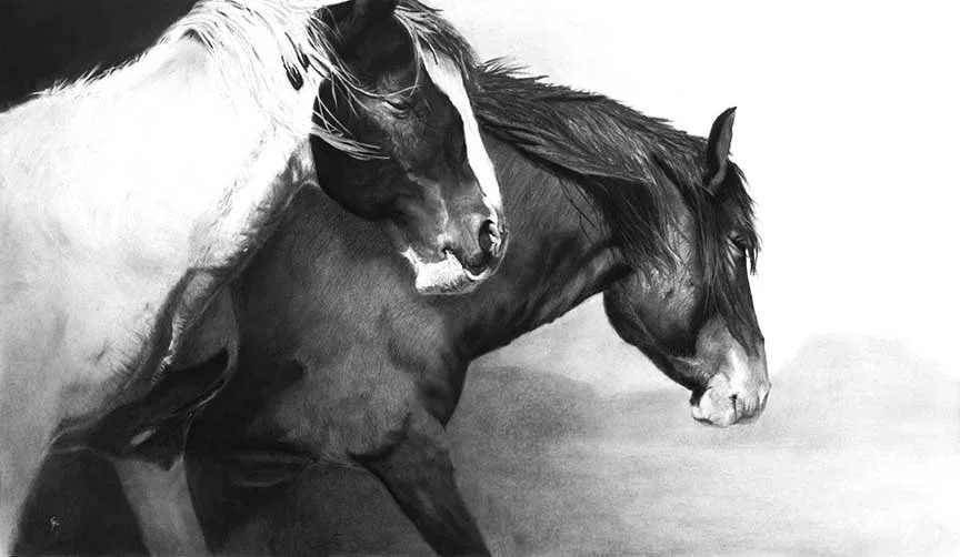 Unbroken 25" x 48"  charcoal Available 