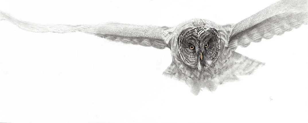 The Sound Of Silence 15" x 48"  charcoal Available! 