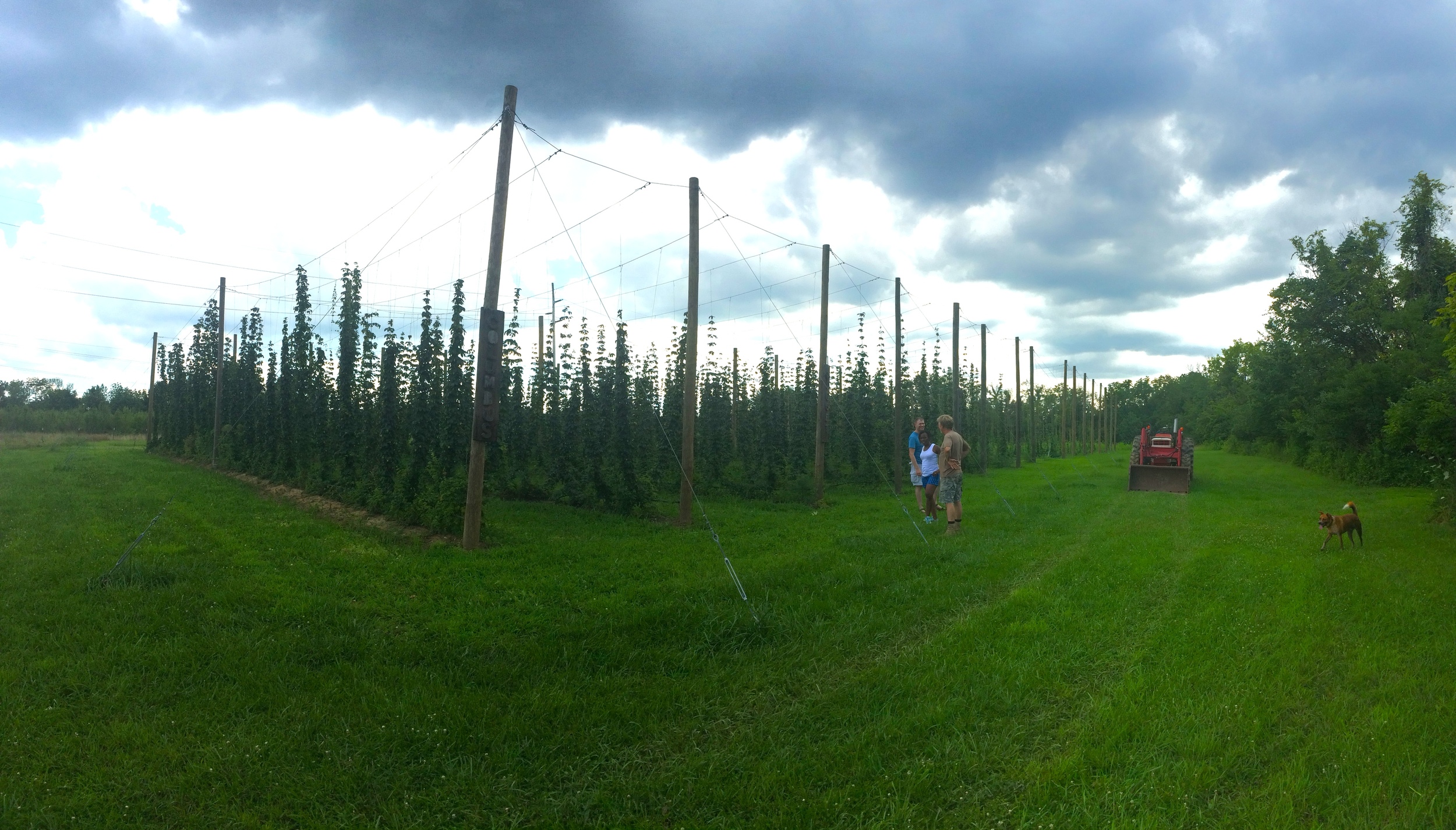 2015-07-21 15.13.02 copy.jpg