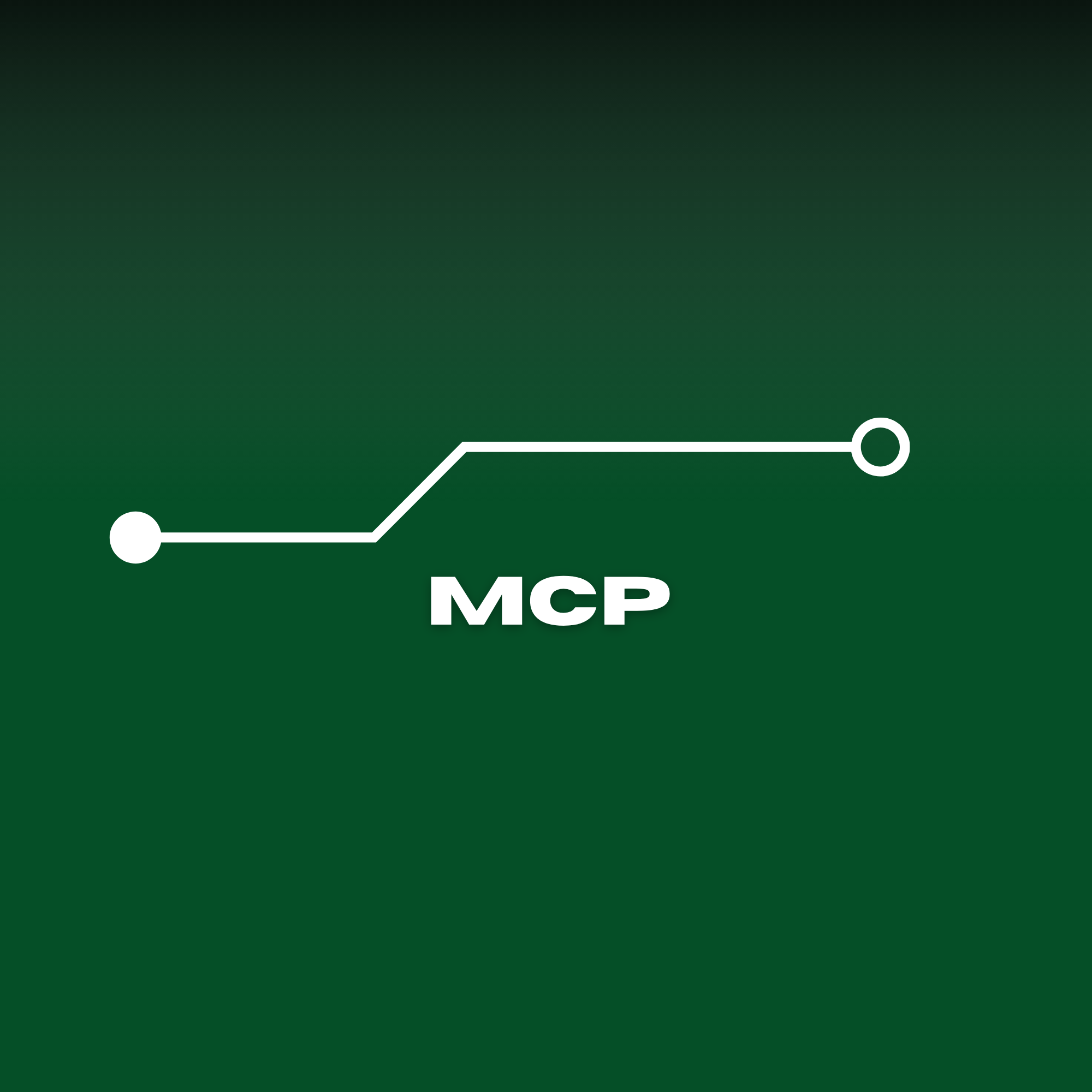 The MCP Server