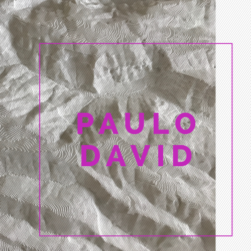 S/Título - Paulo David