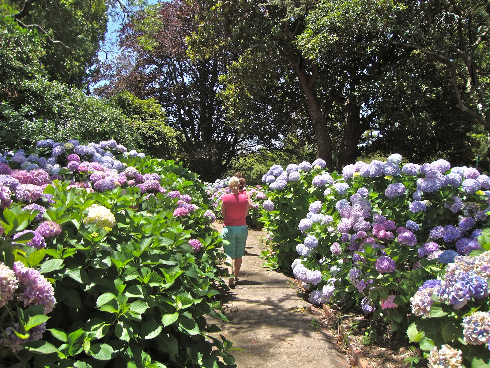 in arderne with friends.JPG