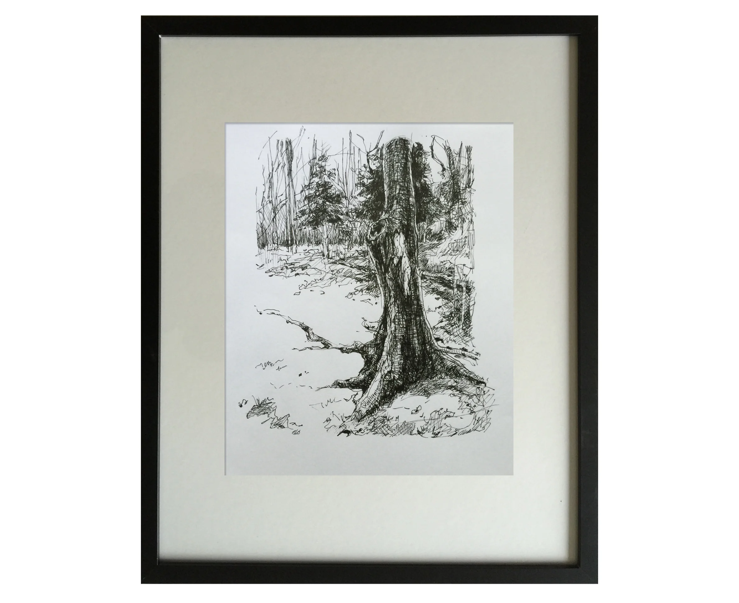 Tree study 2