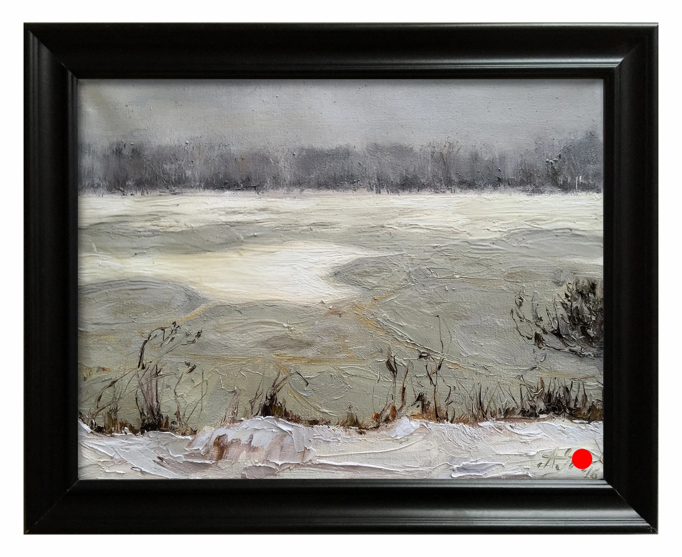 Frozen Lake