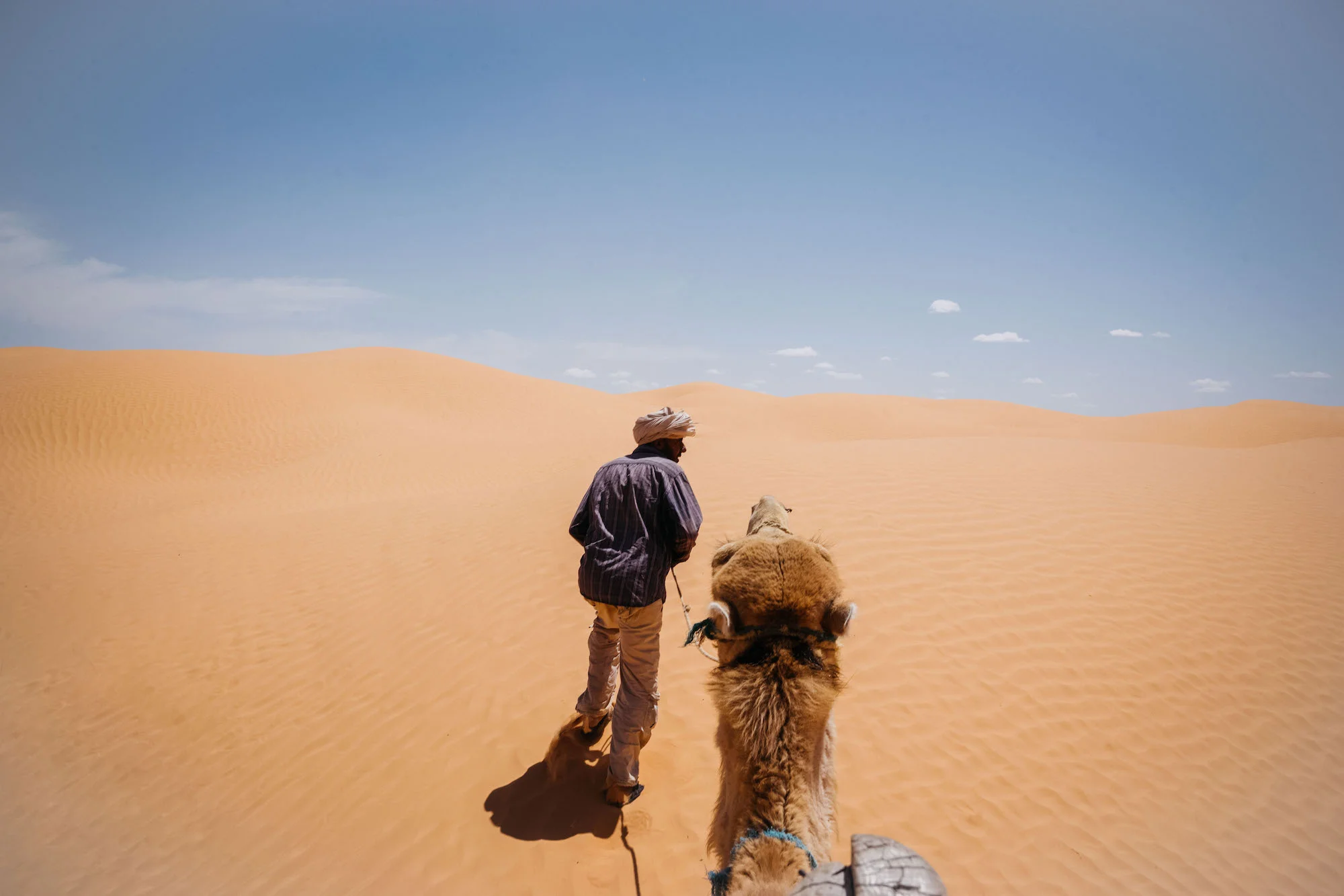 camel riding, sahara desert