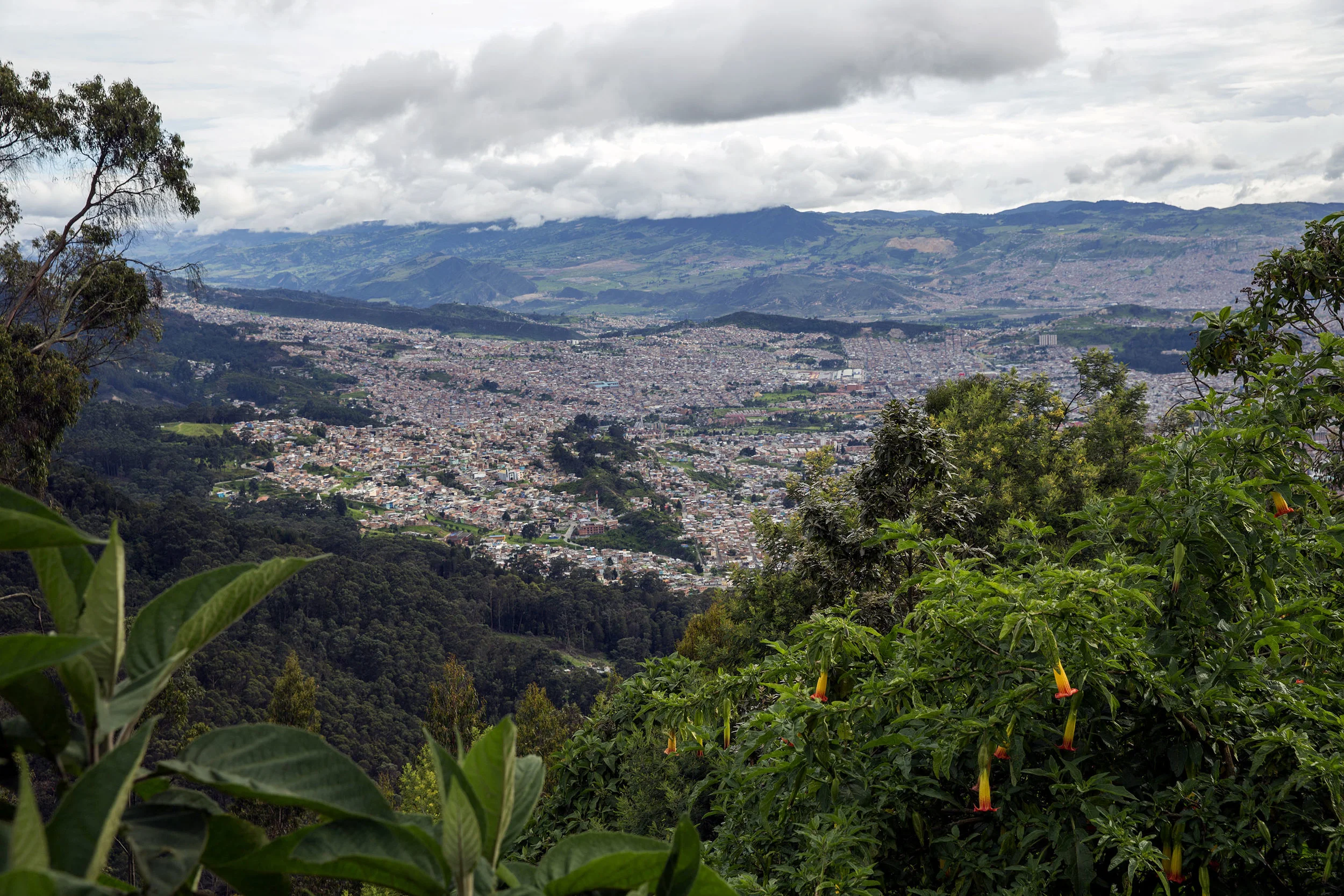 Bogota