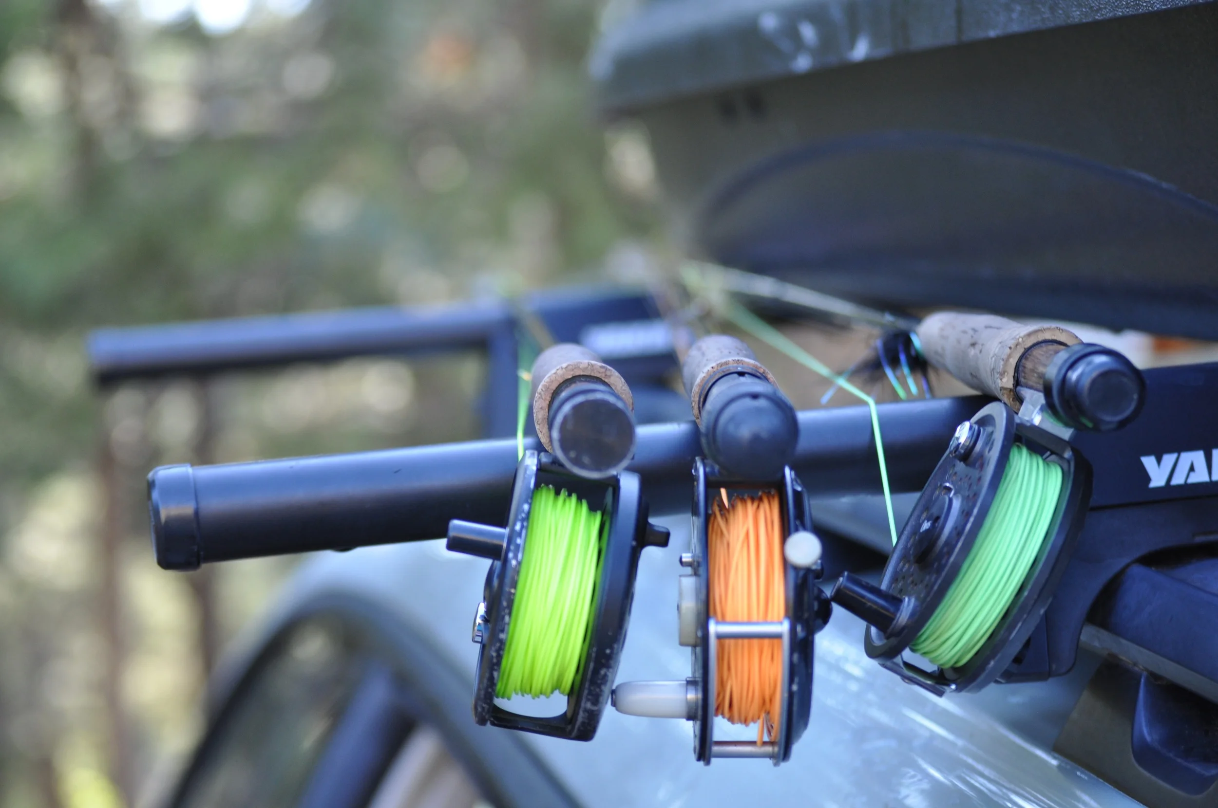 Community fly fishing pic.jpg