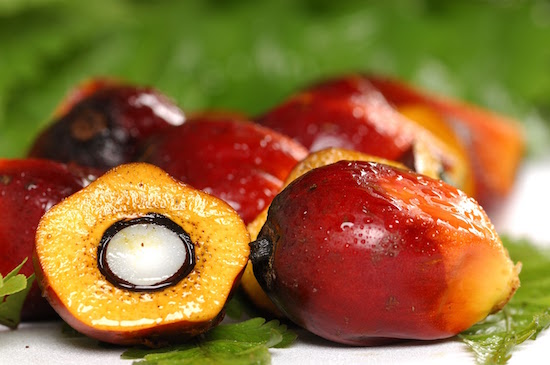Red palm fruit