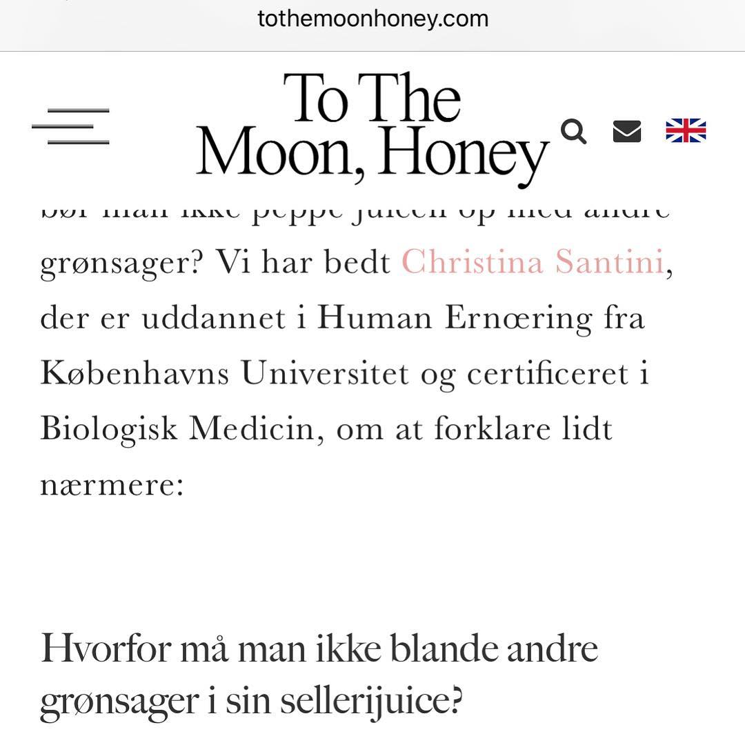 flymetothemoon christina santini.jpg